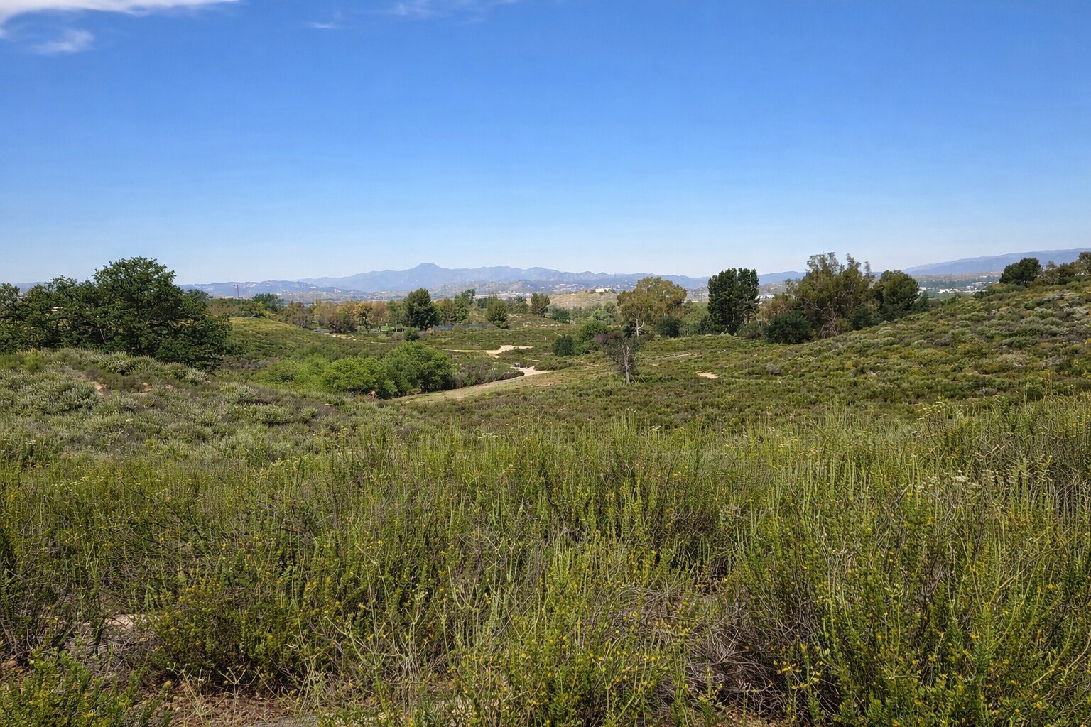 Building Photo - 27014 Carmelita Dr