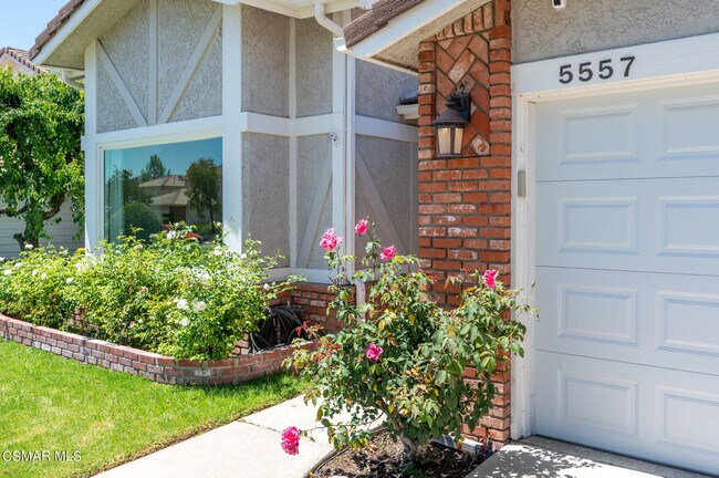 Building Photo - 5557 Adelina Ct