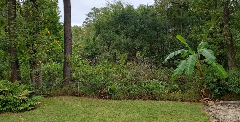 Building Photo - 11587 Gwynford Ln