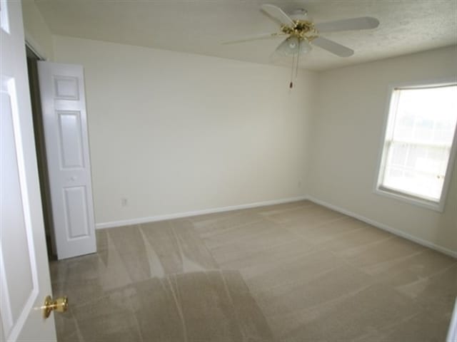 Building Photo - 2416 Bradfield Ct