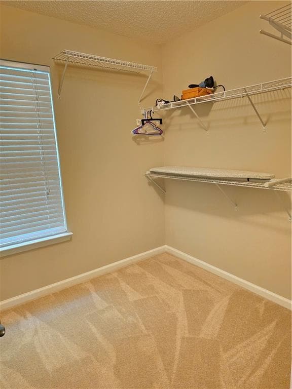Building Photo - 1208 Charleston Ct