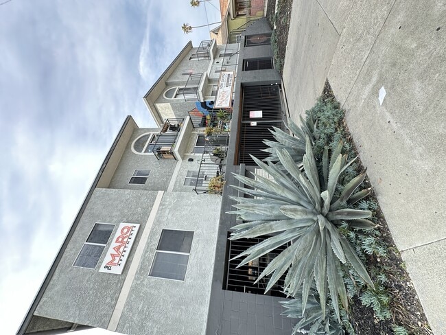 Building Photo - The Marq Apartments