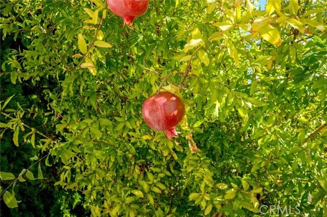 Building Photo - 7913 Vanscoy Ave