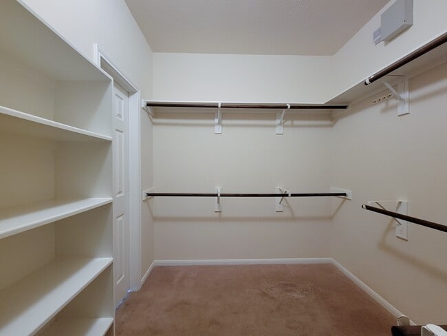 Building Photo - 805 Arlington Pointe Dr