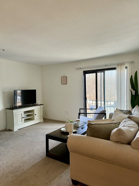 Building Photo - 59 Village Brook Ln