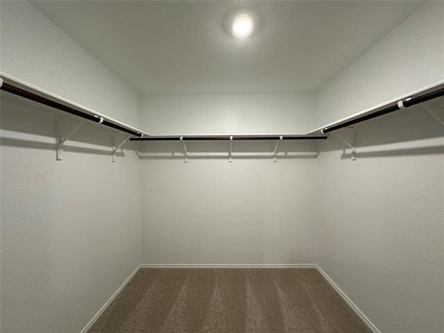 Building Photo - 1008 Mountain Laurel Rd