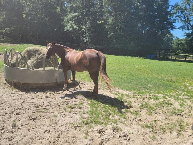 Building Photo - 331 Glenwood Dr