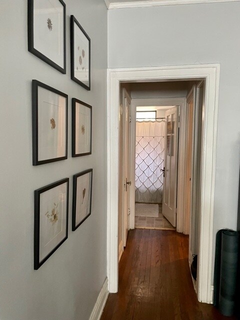 Building Photo - 547 W Brompton Ave