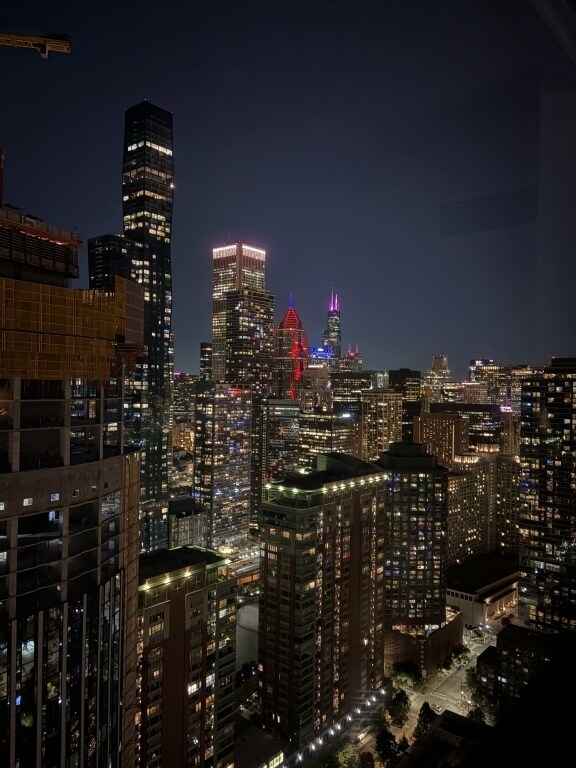 Building Photo - 474 N Lake Shore Dr