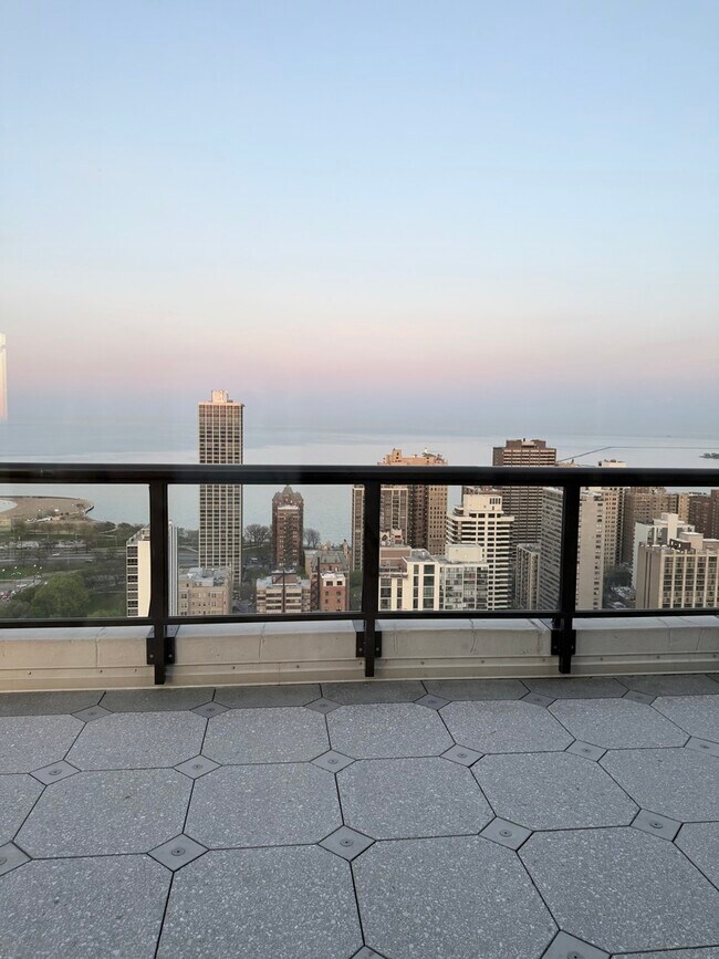 Building Photo - 1560 N Sandburg Terrace