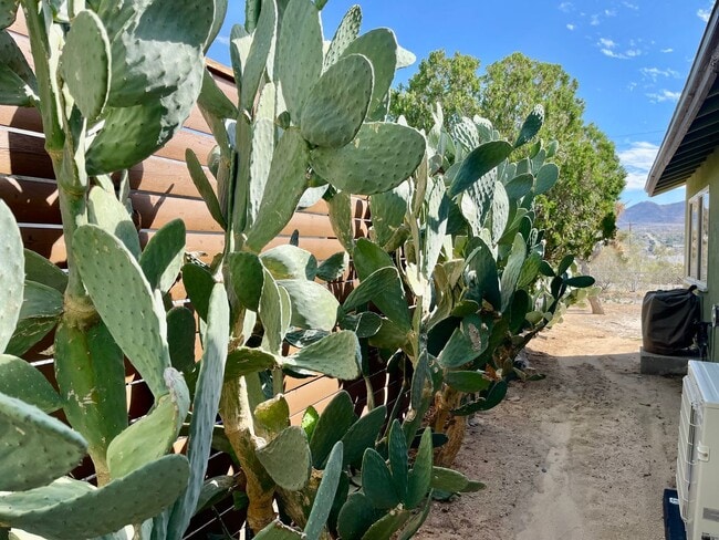 Building Photo - Joshua Tree home with views, views, views....