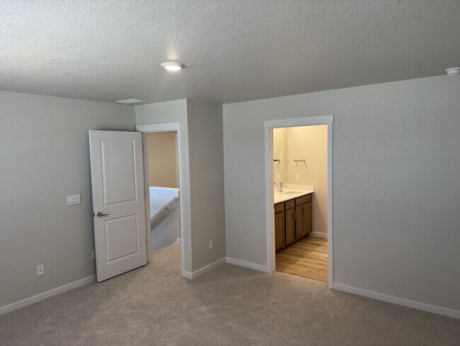 Building Photo - Stunning Brand New Home Close To Lowry & DIA