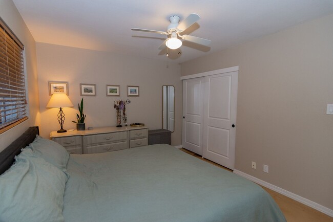 Building Photo - Charming 3BR House in Scottsdale