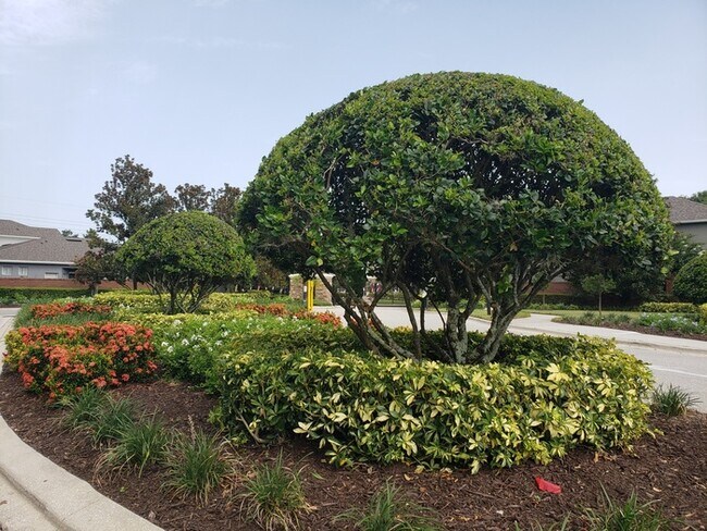 Building Photo - Nice 3 Bed 2 Bath Town Home located in San...