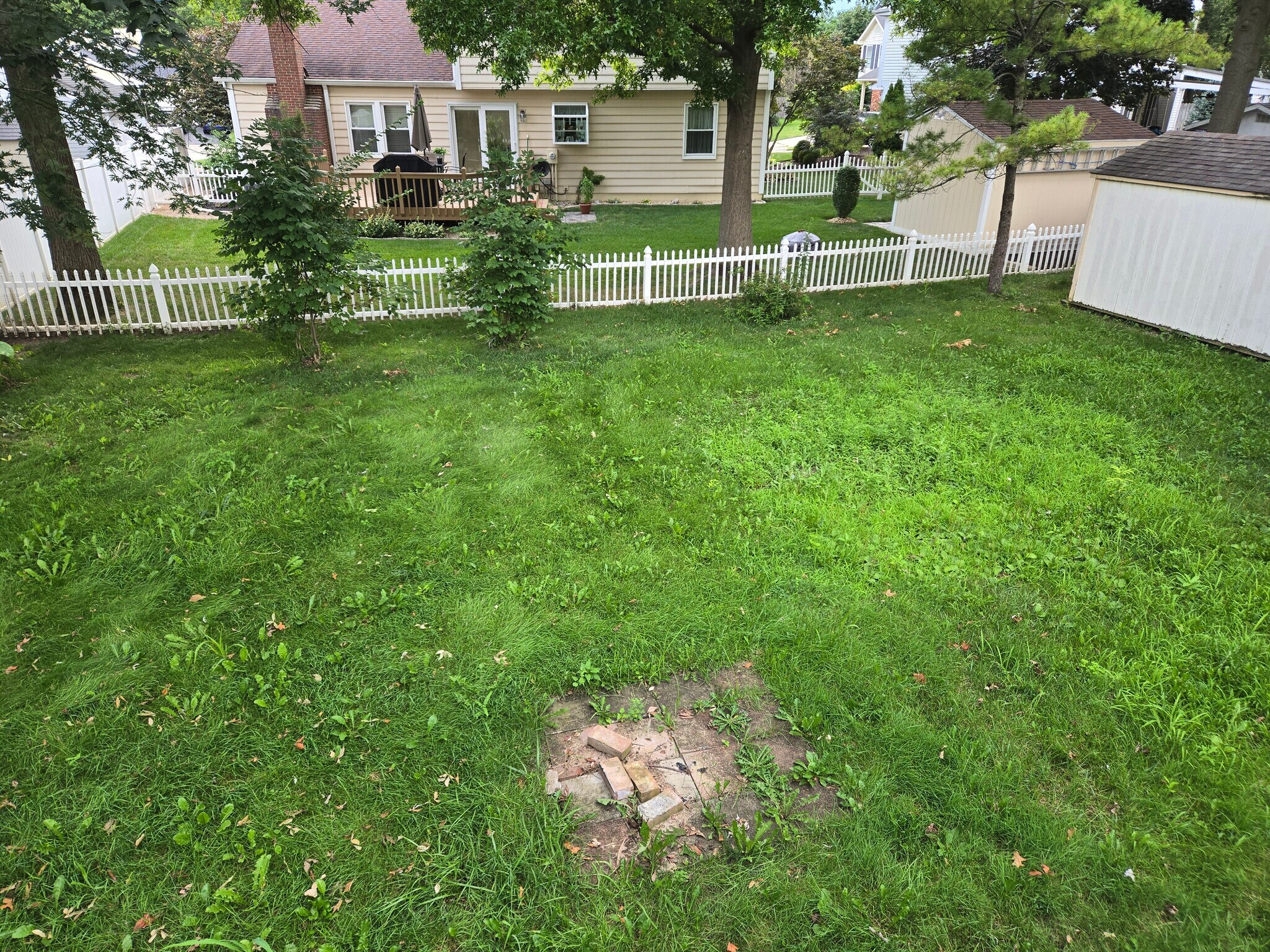 Building Photo - 7857 Cobdon Ave