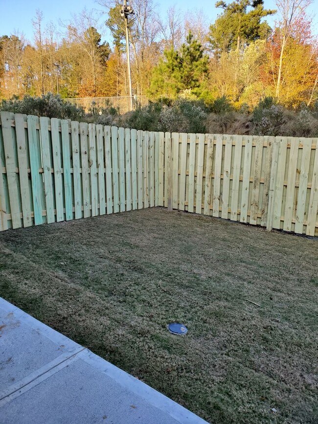 Building Photo - Brand New 4 Bedroom Townhome in Ammenities Community