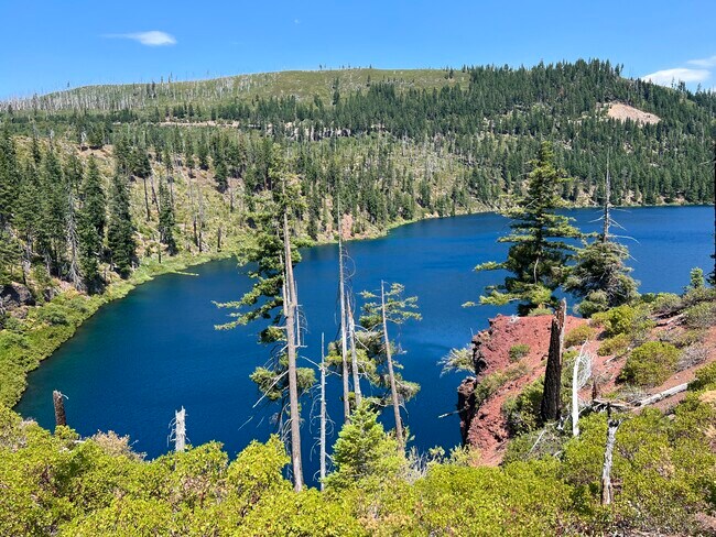 Building Photo - 31401 Lovegren Ln