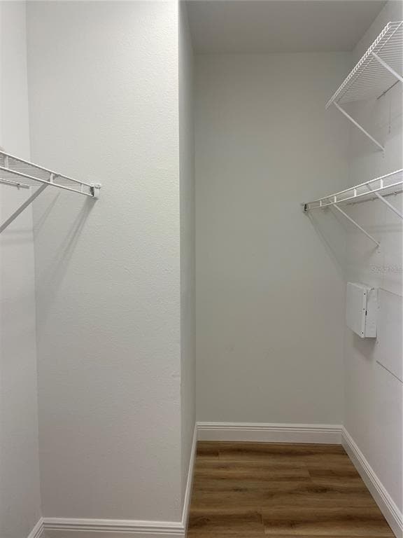 Building Photo - 10131 Celtic Ash Dr