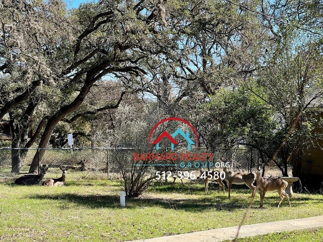 Building Photo - Available March 21: 3 Bed/2 Bath in Established Neighborhood