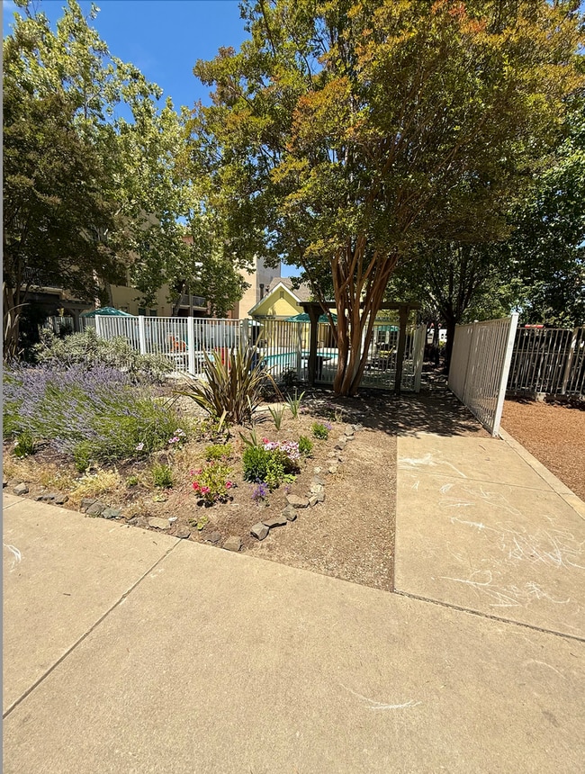Building Photo - Parc Crossing 1 Bed 1 Bath Unit in Mountai...