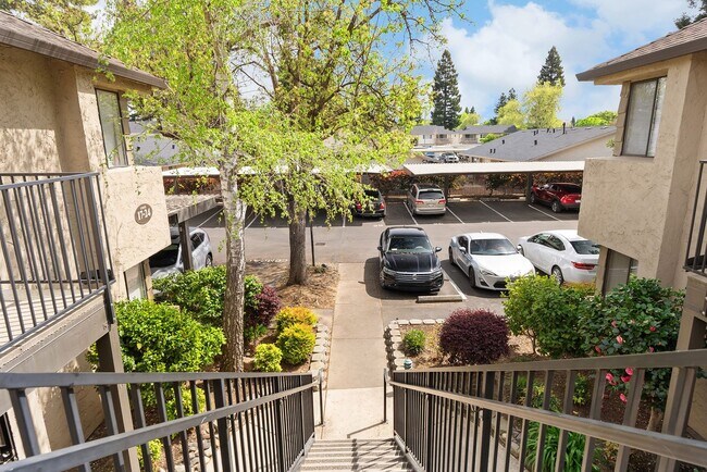 Building Photo - Beautiful Sawmill Commons Condo!