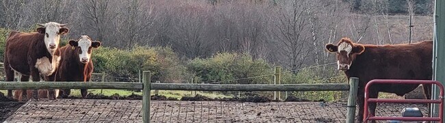 Building Photo - 290 Old Taylor Rd