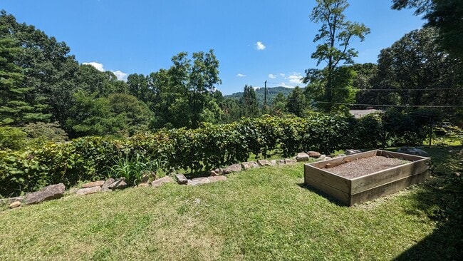 Building Photo - 2/2 Mtn Top Getaway - Huge Screened Porch w/ Stone Fireplace