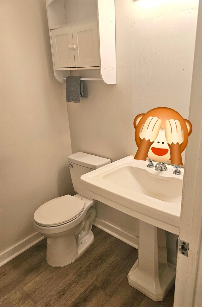 Guest bathroom - 404 Rams Rd