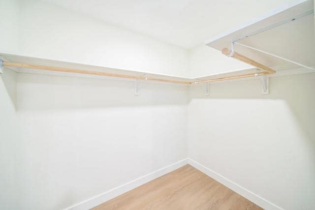 Building Photo - 1763 Sky Loft Ln