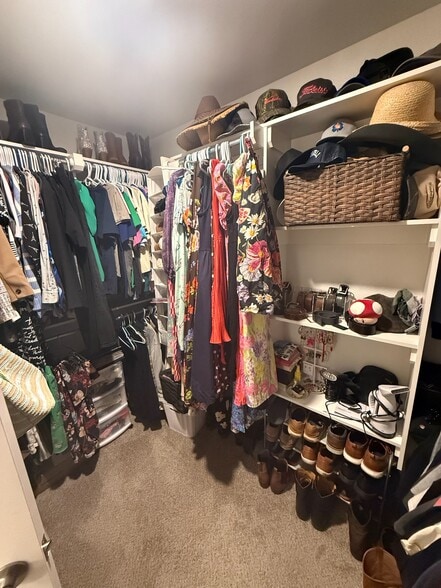 Master Closet - 2409 Bastrop Ave