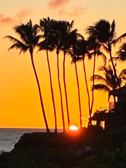 Building Photo - 2623 Halalu St