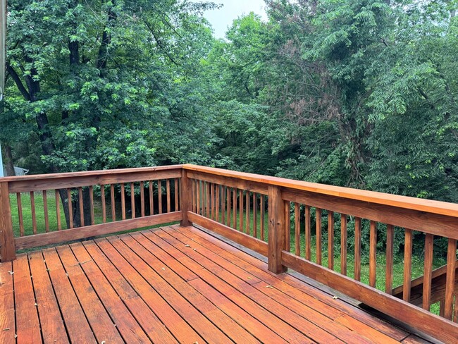 Building Photo - 1341 Scenery Dr