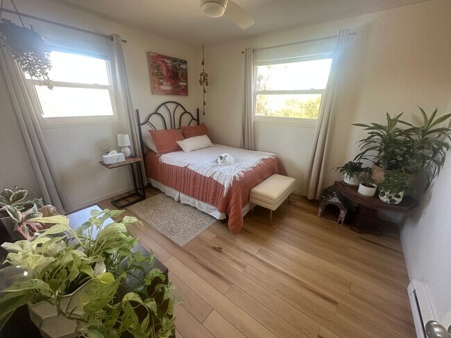 Building Photo - 2BR/2BA Apartments Near Downtown Blacksburg & Virginia Tech