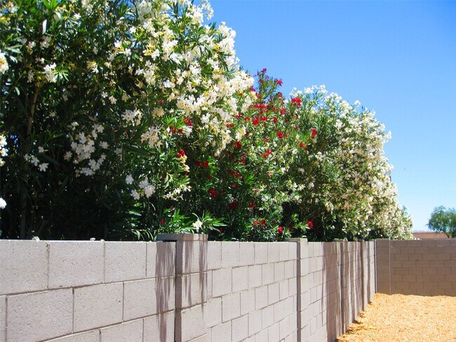 Building Photo - Four Bedroom home for rent in Magma Ranch for under $2000.00