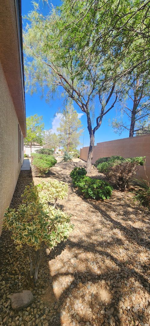 Building Photo - Freshly painted & all new carpeting - 3BR ...