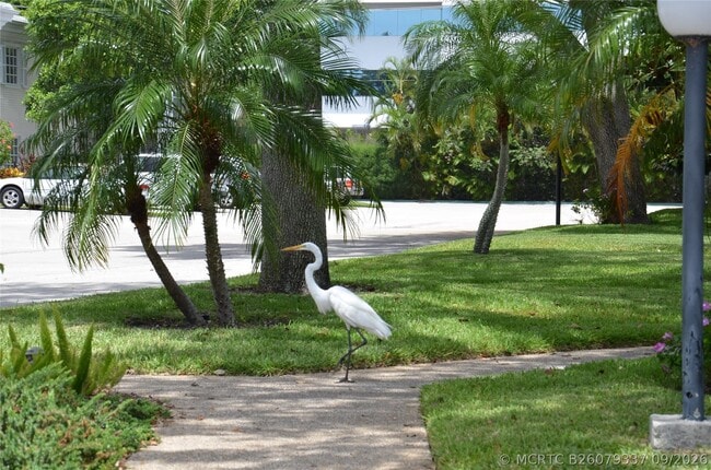 Building Photo - 6201 Bay Club Dr