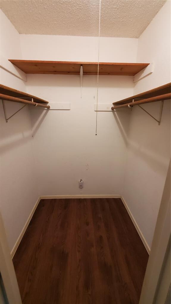 Building Photo - 6209 Emerald Forest Dr