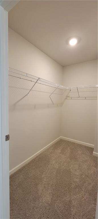 Building Photo - 23 Berryville Dr