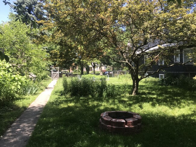 Native plants and fruit trees - 1524 Washington St