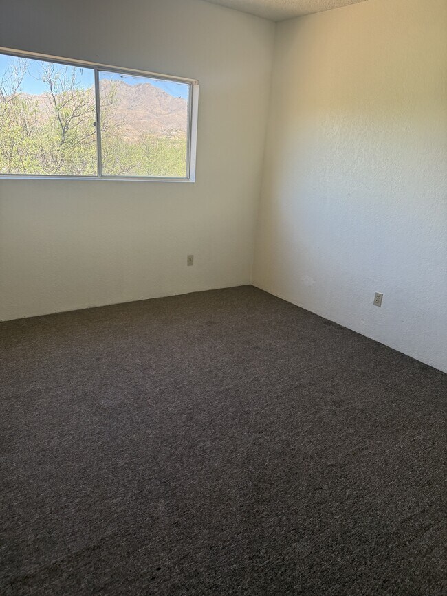 Building Photo - 433 Avenida Garza