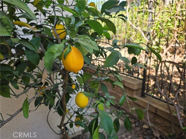 Building Photo - 116 Firefly