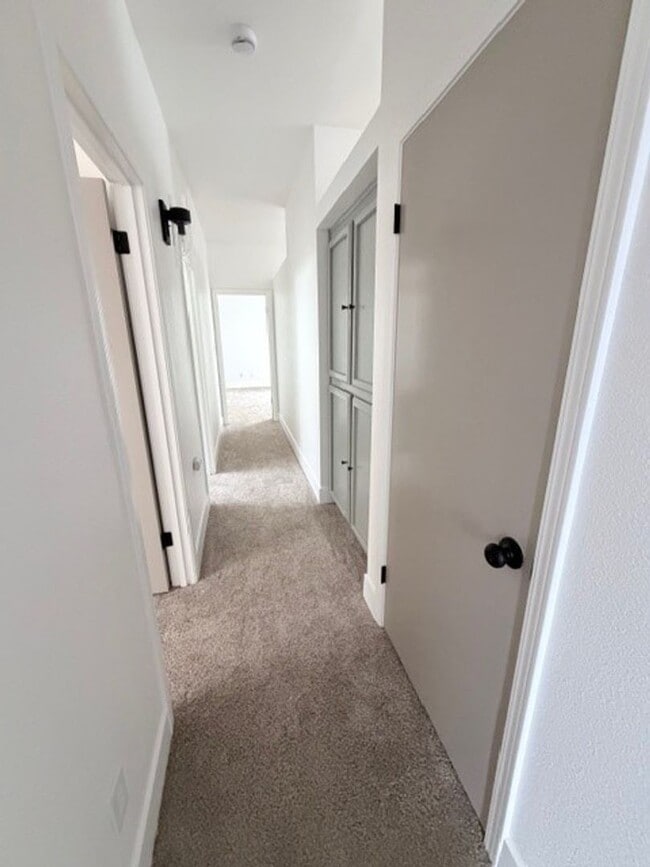 Building Photo - 10616 Petalo Dr