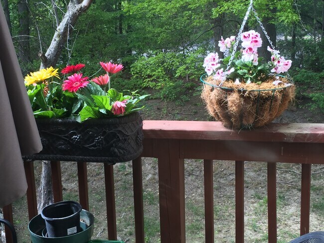 Building Photo - 1 Lake Ave