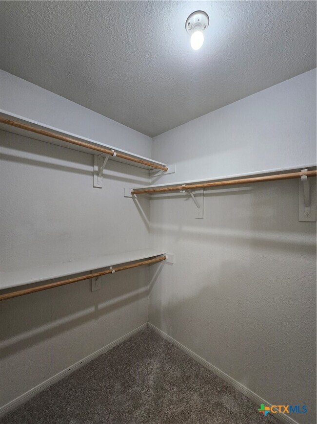 Building Photo - 4407 Paintbrush Dr