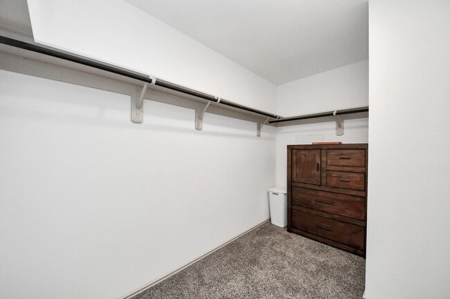 Building Photo - 1137 Buffalograss Trl