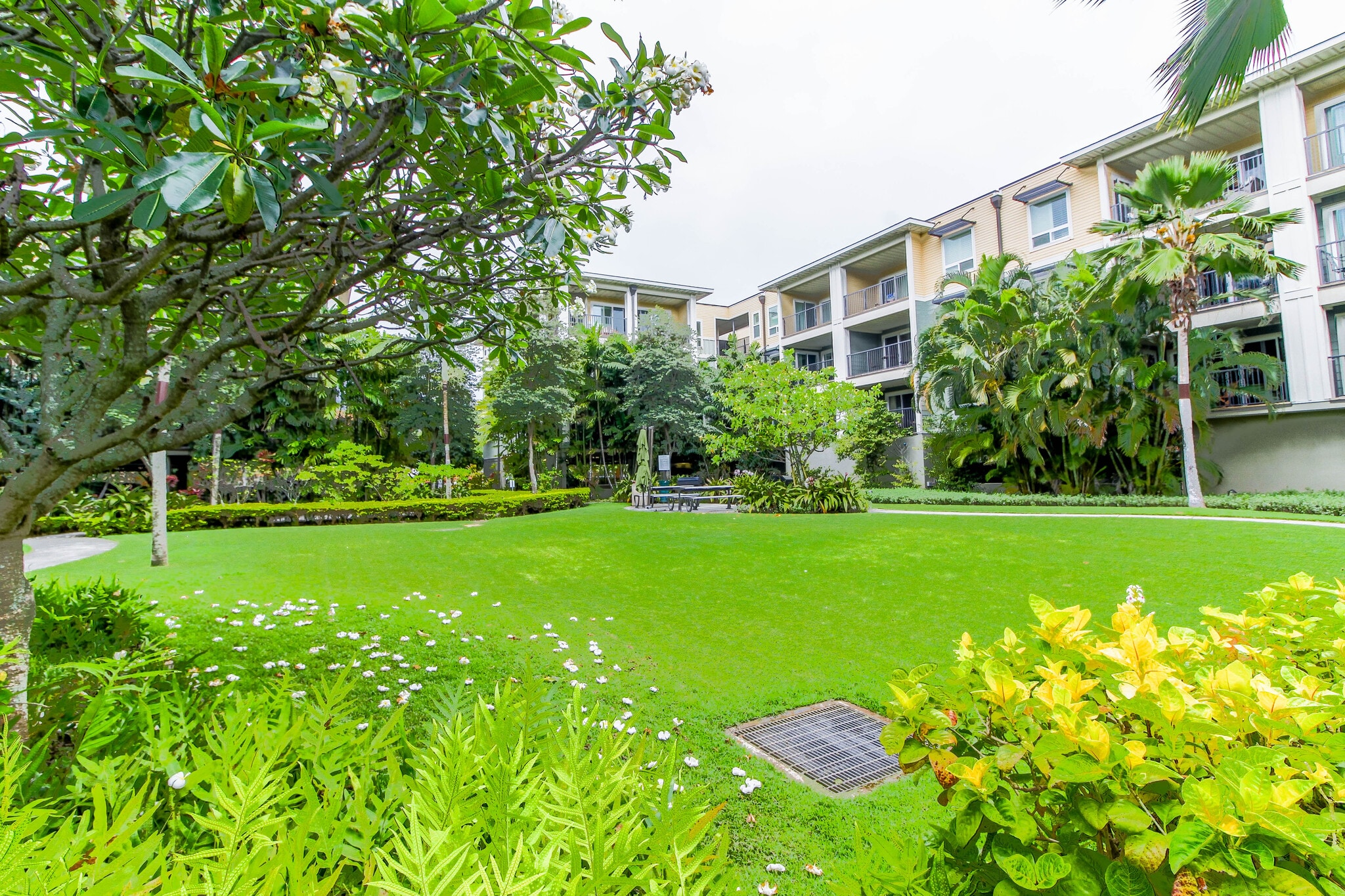 Building Photo - 497 Kailua Rd