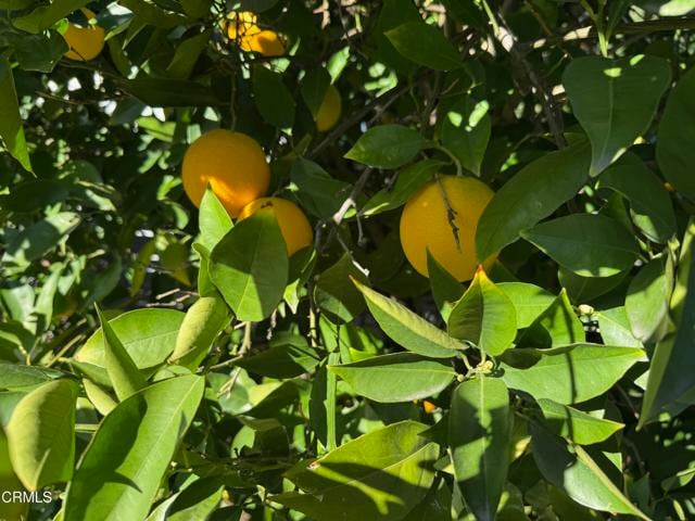 Building Photo - 300 W Loma Alta Dr