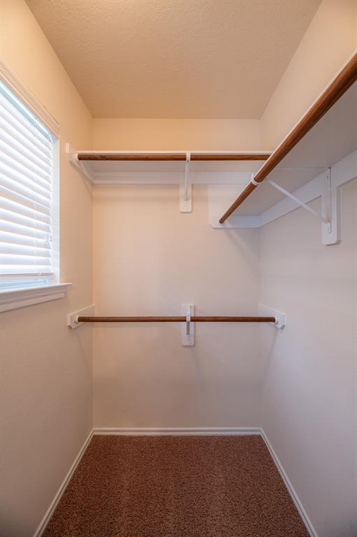 Building Photo - 18 Whitekirk Pl