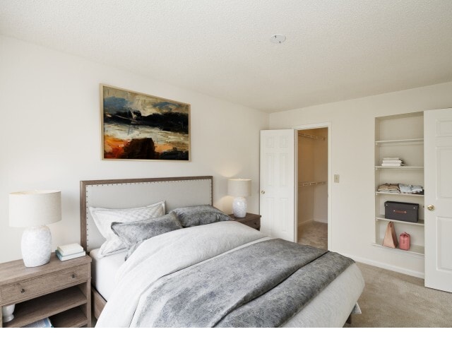 42 Magnolia - 42 Magnolia + 5000 Forest