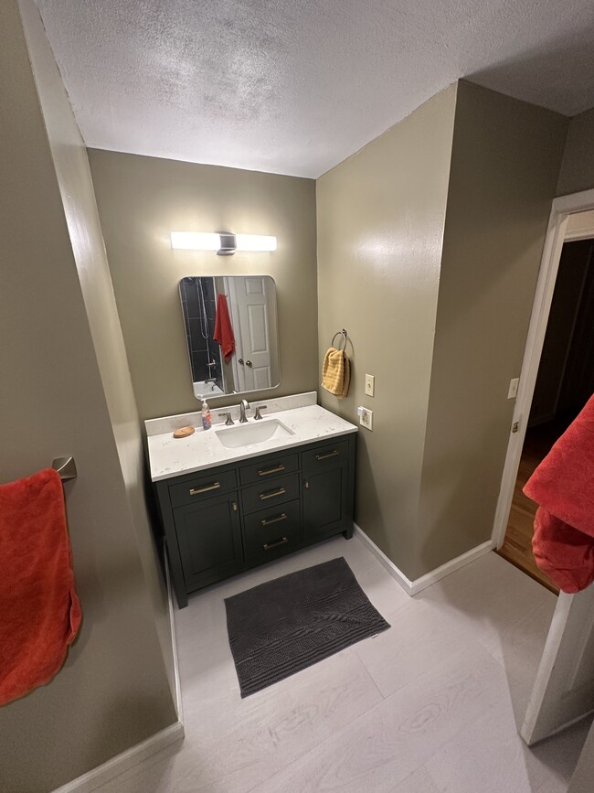 Master bathroom vanity - 511 Bitsy Ln